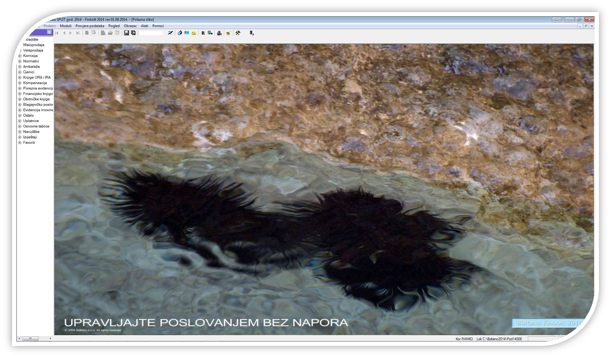 Mnogostruka prilagodba programa