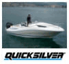 Plovila - Quicksilver, Arvor, Guernsey
