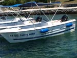 faros rent 2008