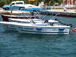 faros rent 2008
