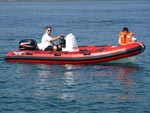 faros rent 2008