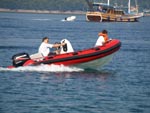 faros rent 2008