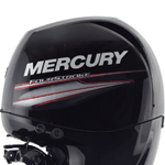 Mercury 150 EFI