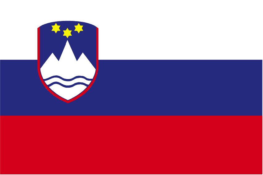 1x Slovenia Flag Slovene Embroidered Slovenian Iron On Patch National emblem DIY 